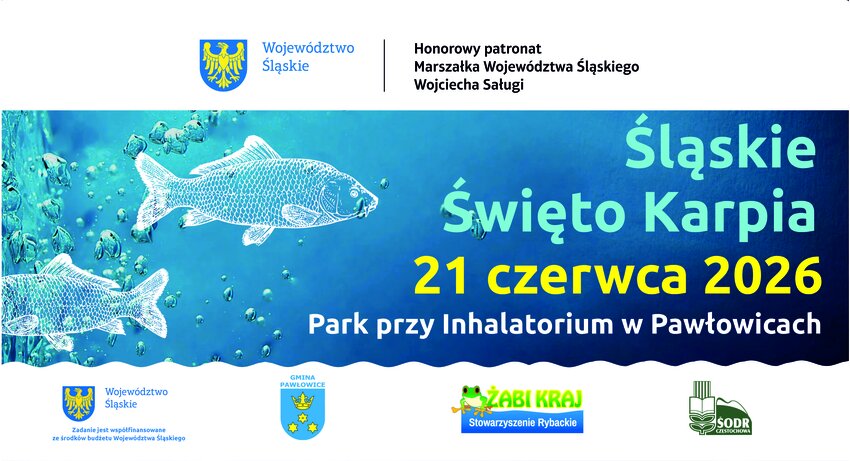 Powiększ: